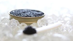 Löffel mit schwarzem Kaviar auf Eis, dahinter Kaviardose