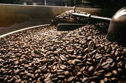 Cooling Coffee Beans