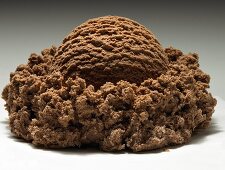 A Single Scoop of Low Fat Chocolate Ice Cream