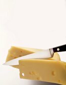 Sliced Swiss Cheese