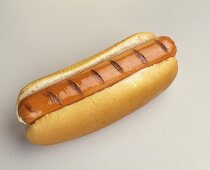 One Grilled Hot Dog on a Bun