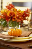 Gourd on Place Setting on Thanksgiving Table