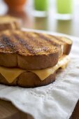 Close Up of a Grilled Cheese Sandwich
