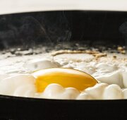A fried egg in a pan (close up)