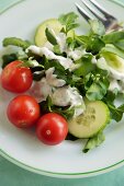 Brunnenkressesalat mit Gurken, Tomaten und Dressing