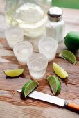 Sliced Limes, Chilled Shot Glasses and Salt for Tequila