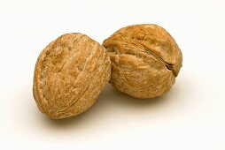 Two unshelled walnuts