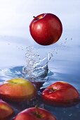 Roter Apfel fällt ins Wasser zu schwimmenden Äpfeln