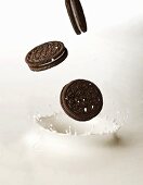 Oreo Cookies Splashing into Milk