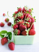 Organic Strawberries with Stems in a Dish