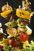 Marinated Chicken and Vegetable Kabobs