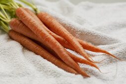 Fresh carrots on tea towel