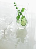 Culinary Cocktail with Cucumber and Basil; Two Glasses