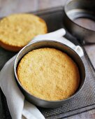 Freshly Baked Sponge Cake in a Pan