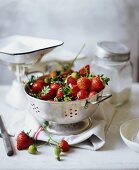 Frische Erdbeeren in einem Sieb, Zucker auf einer Waage