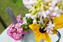 Flowers in a watering can