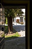 Tree beside a gravel path in front of a country home