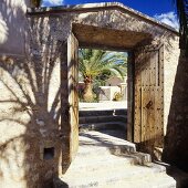 An open wooden door with a view on a Mediterranean courtyard with palm trees