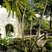 Tropischer Garten mit Bungalow