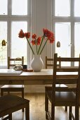 Red amaryllis in a white vase on a wooden dining table in front of a window