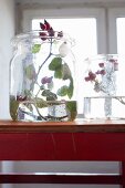 A sprig of rosehips in a glass container filled with water