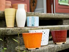 Flowerpots outside on a stone step