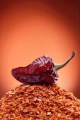 A dried chilli pepper on a pile of chilli flakes