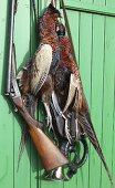 A hung pheasant, a weapon and a hunting bugle on a green wooden wall