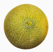 A Galia melon