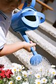 Child watering flowers with blue watering can