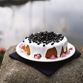 Blueberry cake with glace icing