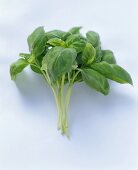 A Bunch of Basil