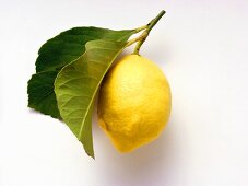 A Lemon with Leaves