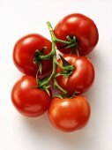 Five Vine Ripened Tomatoes