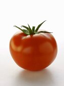 Frische Tomate