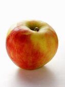 A Cortland Apple