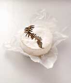 Camembert on Paper Wrapping