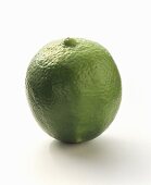 A Lime