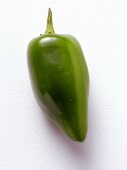 A Jalapeno Pepper
