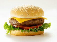 A Cheeseburger on a Sesame Seed Bun