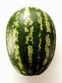 Wassermelone