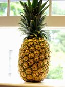 A Pineapple on a Window Sill