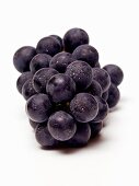 Bunch of Concord Grapes