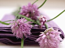 Schnittlauch mit Blüten auf lila Serviette