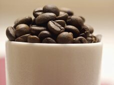 Coffee Beans in a Cup