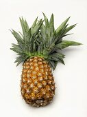 One Pineapple