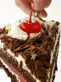 Holding a Slice of Black Forest Cake