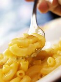 Forkful Of Macaroni Cheese