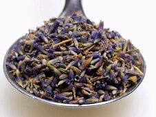 Spoonful of Dried Lavender