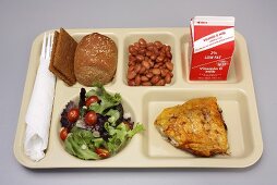 Childs School Lunch on Tray; Healthy